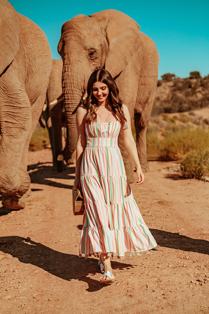 larisa costea,larisa costea blog, fashion blog, travel blog, south africa,larisa in south africa, chicwish,buffelsdrft, game lodge, safari, elephants, baby elephants, oudtshoorn, chicwish dress, stripes, ray ban sunglasses,cult gaia bag, shopbop, steben slides, slippers, power couple, adrian, oots, summer outfit,outfit inspiration, best vacation,holiday, best destination, best hotels, tent, camp, africa, animals, animal lover