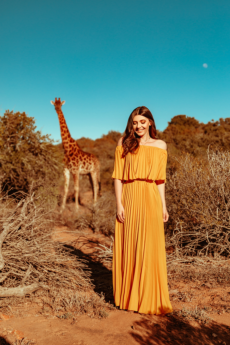 larisa costea, larisa costea blog, larisa style, larisa in south africa, south africa, africa de sud, destinatie de vis, 2019, vacation, best vacation, holiday, best hotels, paradise, giraffes, giraffe, yellow dress, pleates dress, chicwihs, long dress, shopbop, madewell, blogger, travel blogger, traveler, fashion clogger, lifestyle, africa, outdshoorn, animals, wild animals, buffelsdrift, buffelsdrift game lodge, game reserve, game lodge, safari