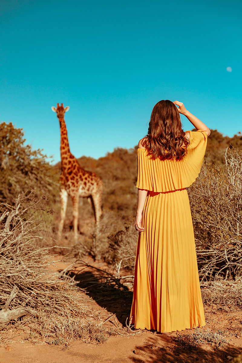 larisa costea, larisa costea blog, larisa style, larisa in south africa, south africa, africa de sud, destinatie de vis, 2019, vacation, best vacation, holiday, best hotels, paradise, giraffes, giraffe, yellow dress, pleates dress, chicwihs, long dress, shopbop, madewell, blogger, travel blogger, traveler, fashion clogger, lifestyle, africa, outdshoorn, animals, wild animals, buffelsdrift, buffelsdrift game lodge, game reserve, game lodge, safari