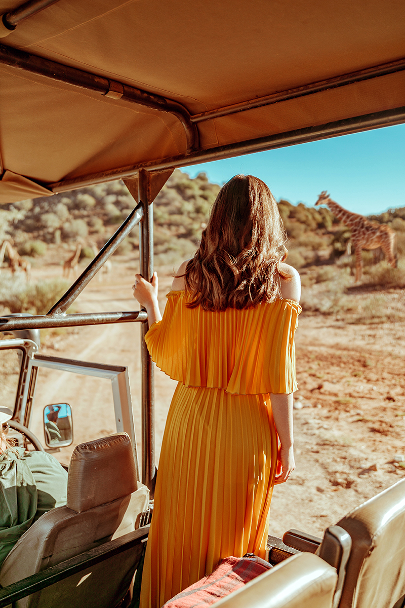 larisa costea, larisa costea blog, larisa style, larisa in south africa, south africa, africa de sud, destinatie de vis, 2019, vacation, best vacation, holiday, best hotels, paradise, giraffes, giraffe, yellow dress, pleates dress, chicwihs, long dress, shopbop, madewell, blogger, travel blogger, traveler, fashion clogger, lifestyle, africa, outdshoorn, animals, wild animals, buffelsdrift, buffelsdrift game lodge, game reserve, game lodge, safari