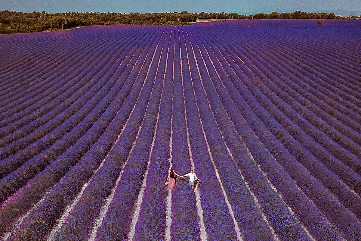 larisa costea, larisa style, larisa in provence, larisa costea blog, fashion blog, fashion blogger, travel blog, traveler, lavender fields, lavender field, purple field, provence, allemagne en provence, valensole, stone house field, drone shot of the lavender field, couple picture, chicwish, chicwish skirt, tulle skirt, lilac skirt, matching, black lace top, chicwish top, straw hat, asos, joyas slippers, joyas slides, poppies bouquet, best lavender field in provence, bloggers in provence